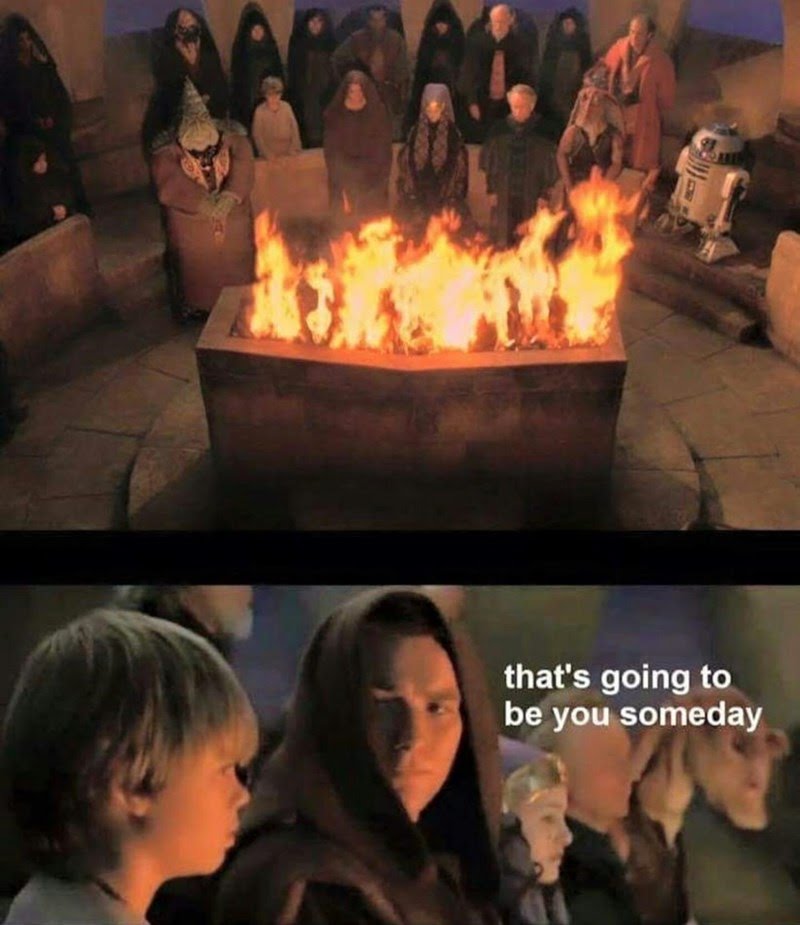 Anakin's future