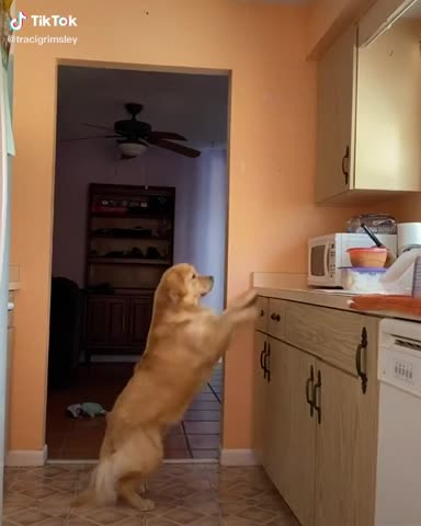 Caught in the act