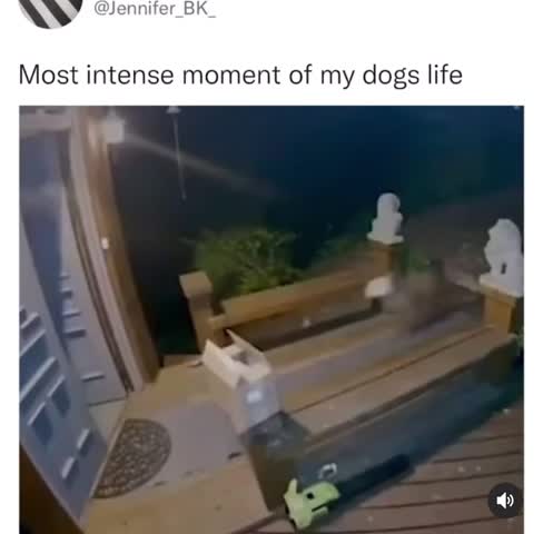 Close it! close it! close it!